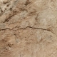 Brown Marble Finish Foil Decorative Paper For Wall Panel DW18270-2