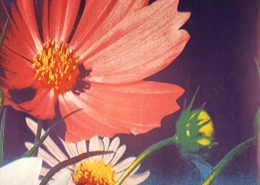 Flower Melamine Laminate Paper For Panel Surface DW1500