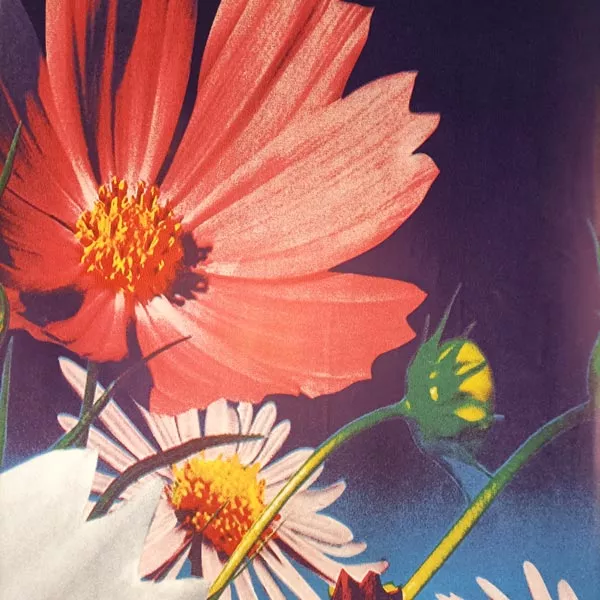 Flower Melamine Laminate Paper For Panel Surface DW1500