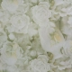 Green & White Flower Finish Foil For MDF DW18256-2